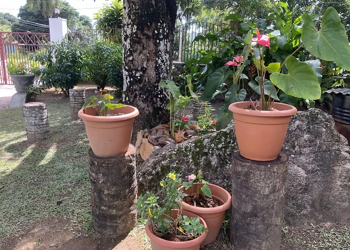 The Orchard Bed & Breakfast